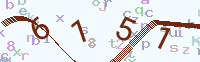 Verify Code